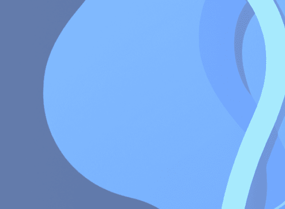 How Editing and Proofreading Improve Animal Protection Policies